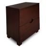 Bed side table with 2 drawers