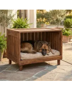 Dog House